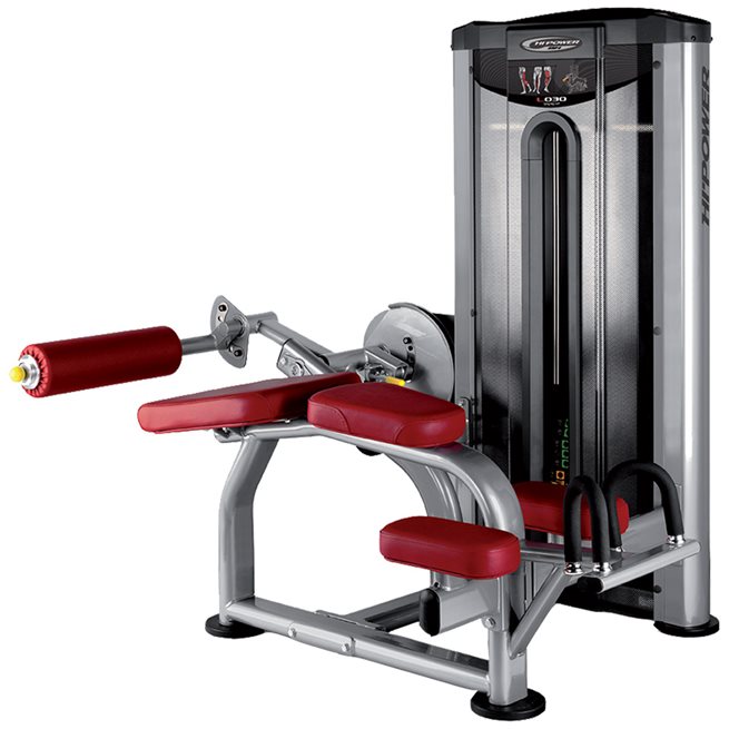Lying Leg Curl - L030