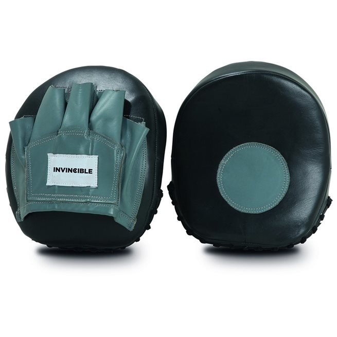 Master Coaching mitt training