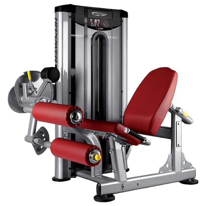Seated Leg Curl - L170