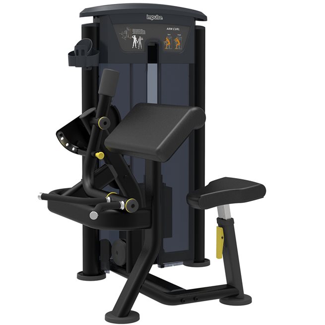 Arm Curl IT9503