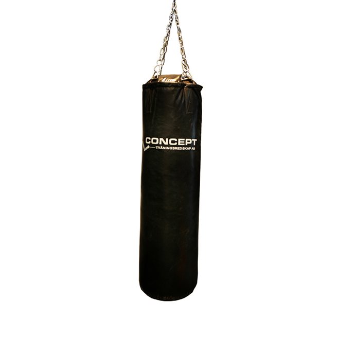 Concept Boxing Bag