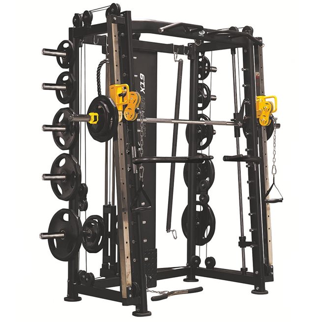 Master Smith / Functional trainer X15