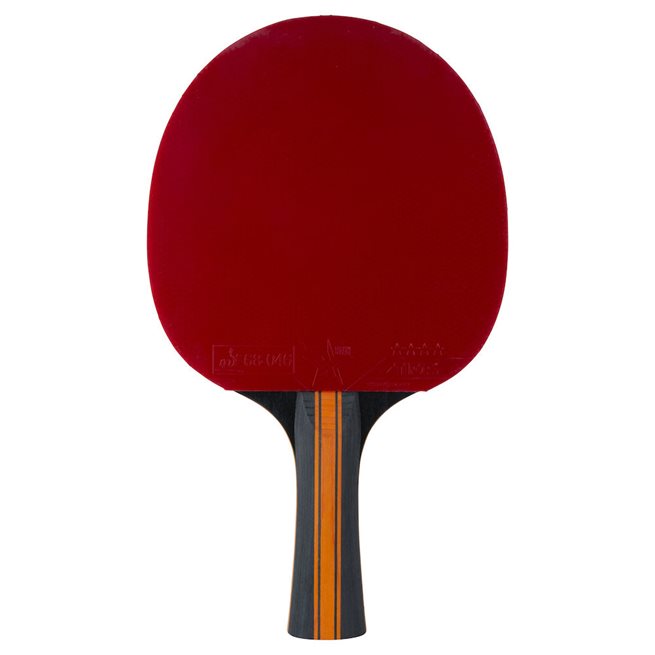 STIGA BAT 4-STAR VISION CARBON