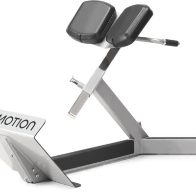 Freemotion Epic Free Weight 45 Degree Back Extension