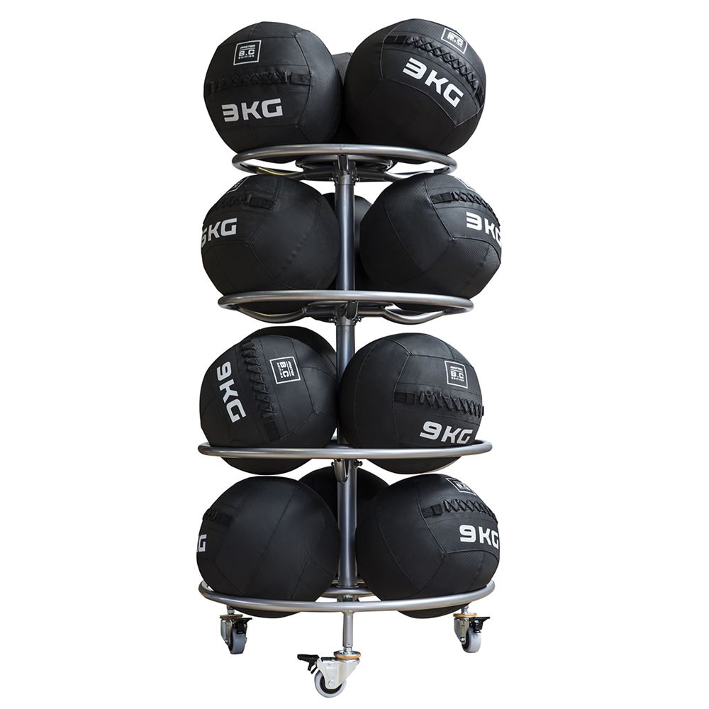 Master Fitness Rack Wallball