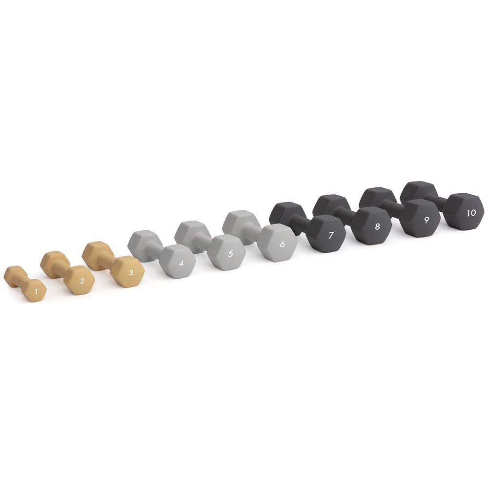 Abilica DumbBell
