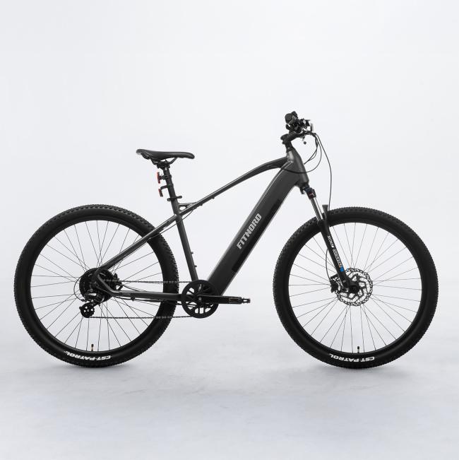 FitNord Ranger 300 Elmountainbike G2
