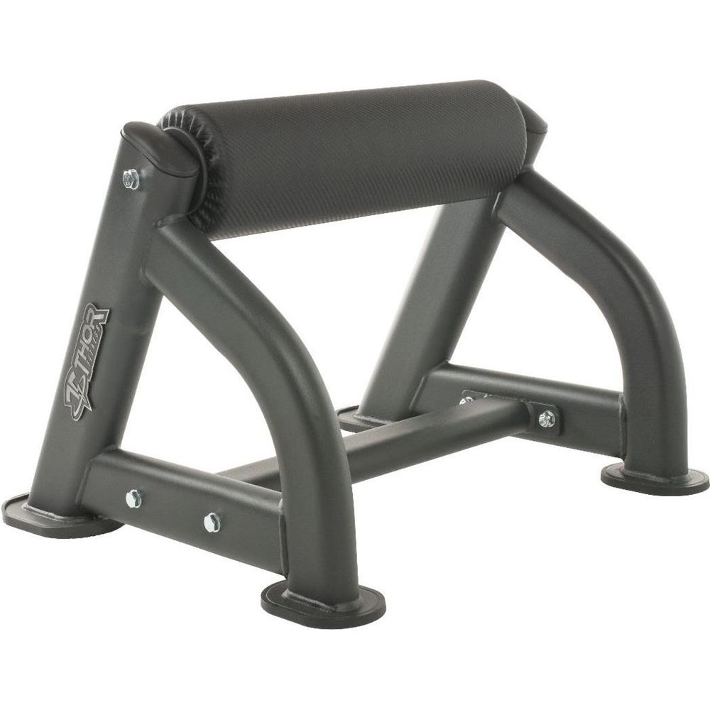 Thor Fitness Standard