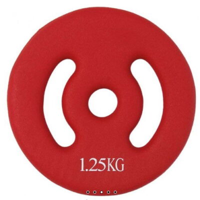 BARPUMP VIKTER (1.25 kg)